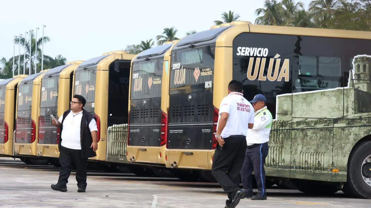 WhatsApp Image 2026-01-29 at 5.05.32 PM (4)