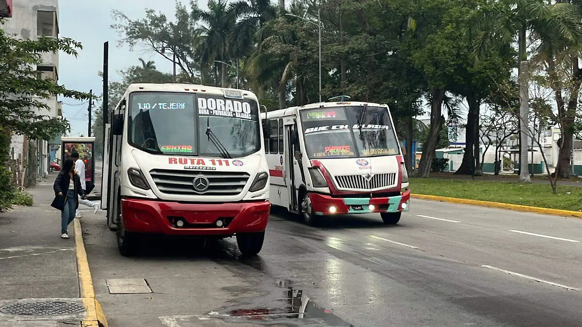 WhatsApp Image 2026-01-30 at 08.19.30