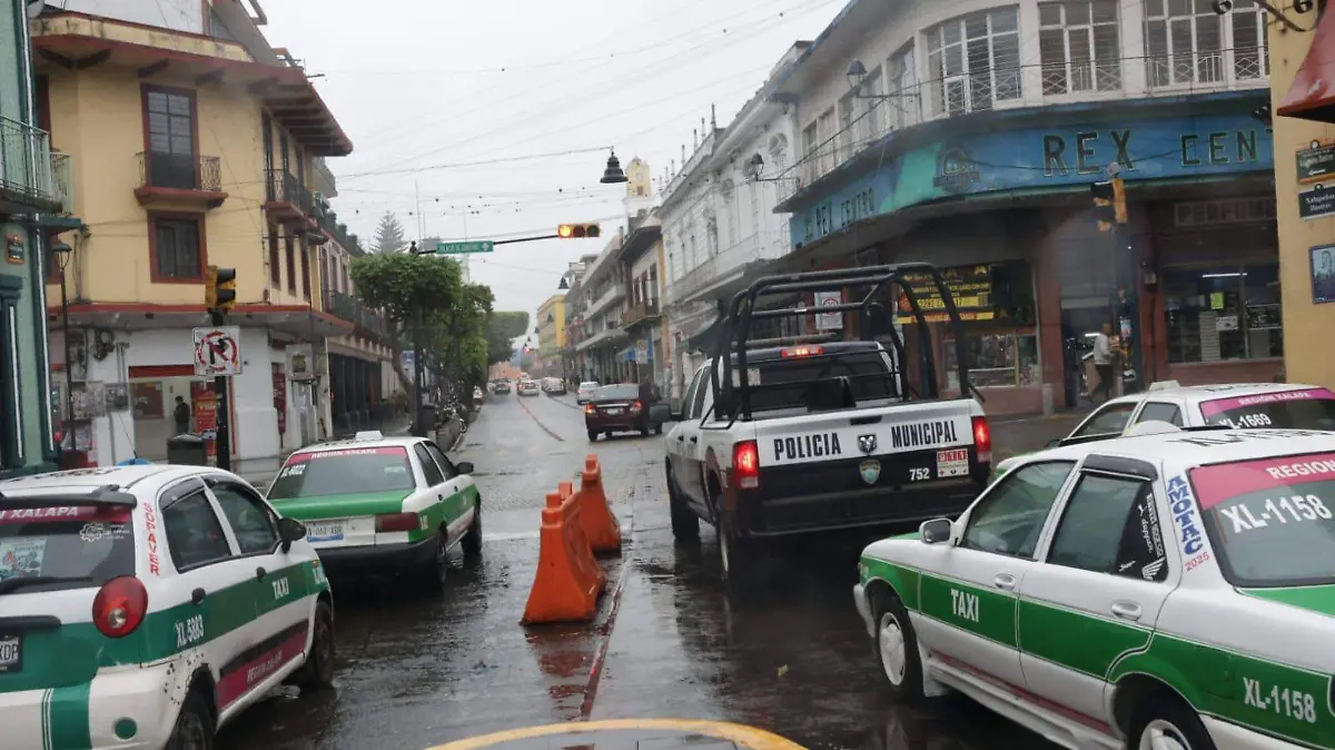 WhatsApp Image 2026-01-31 at 10.00.49 AM