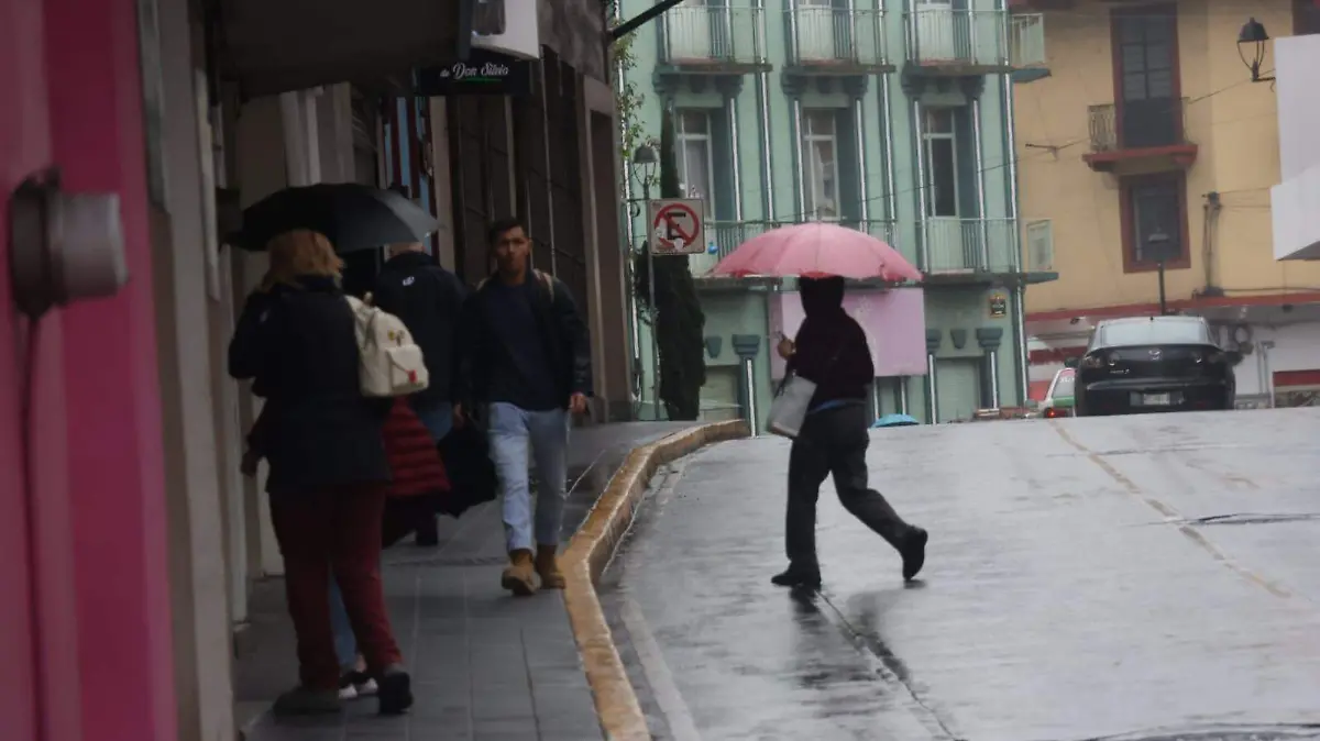 WhatsApp Image 2026-01-31 at 10.00.48 AM