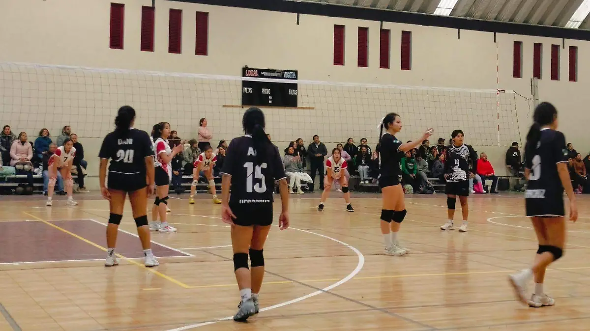 Voleibol Xalapa 3
