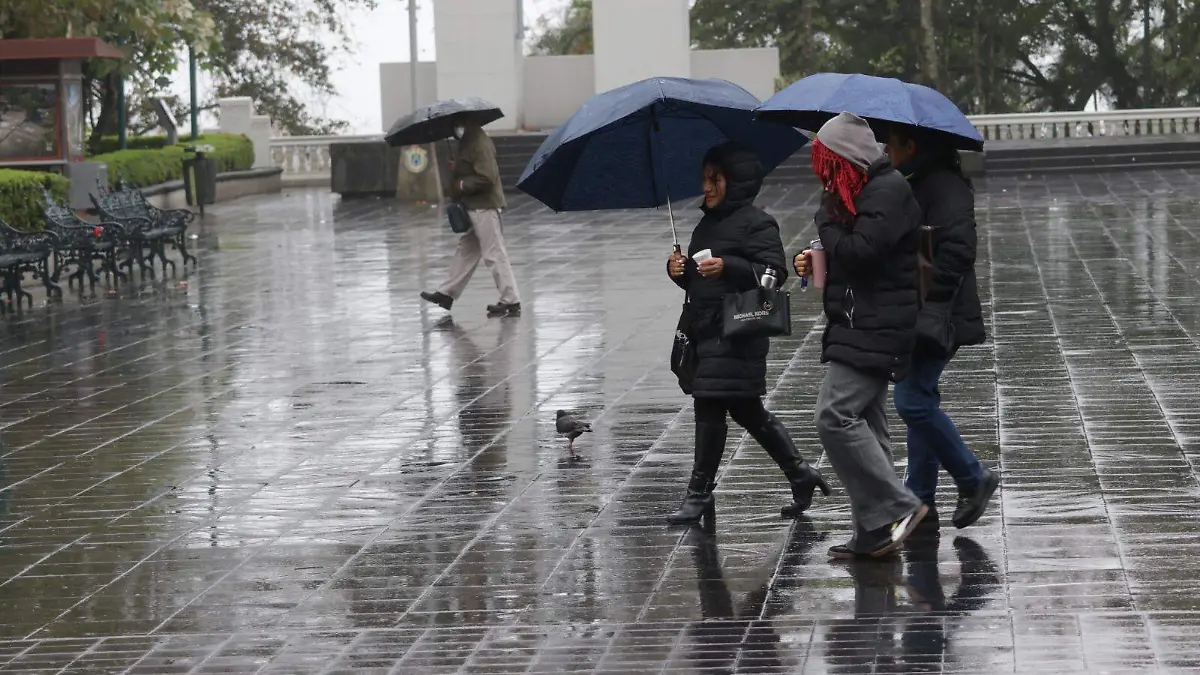 WhatsApp Image 2026-02-03 at 2.09.03 PM (1)