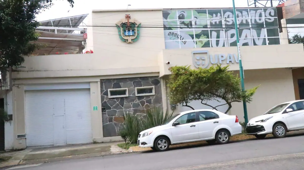 WhatsApp Image 2026-02-04 at 13.29.54