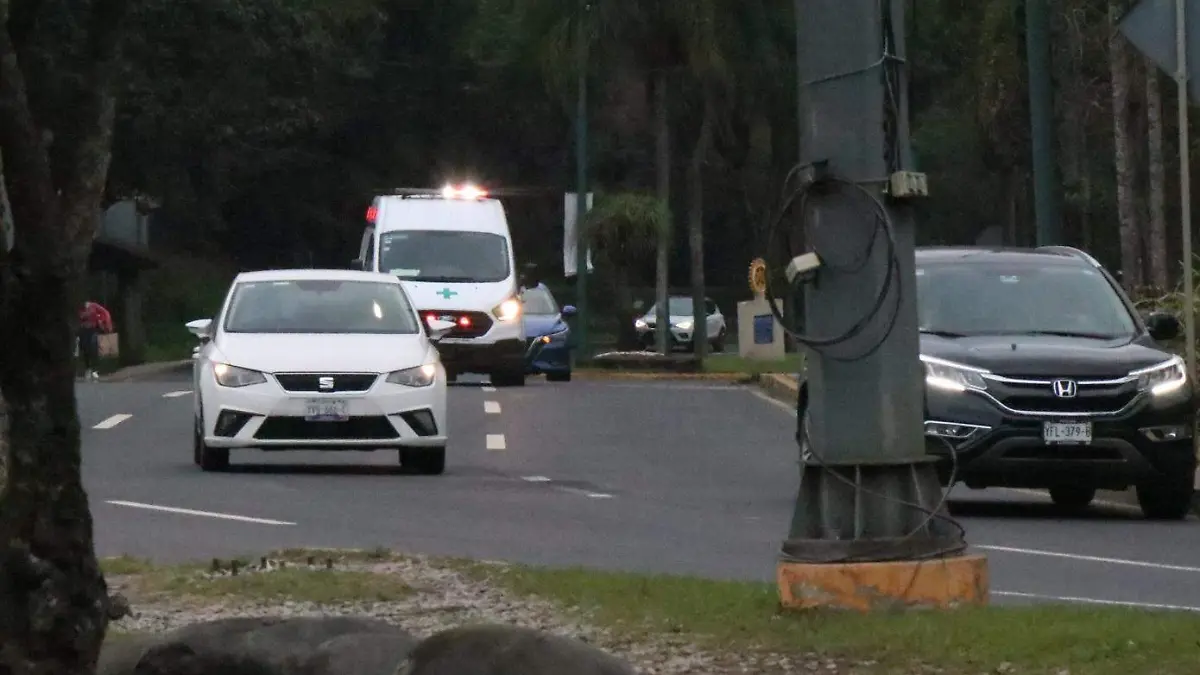 Carretera Xalapa-Coatepec