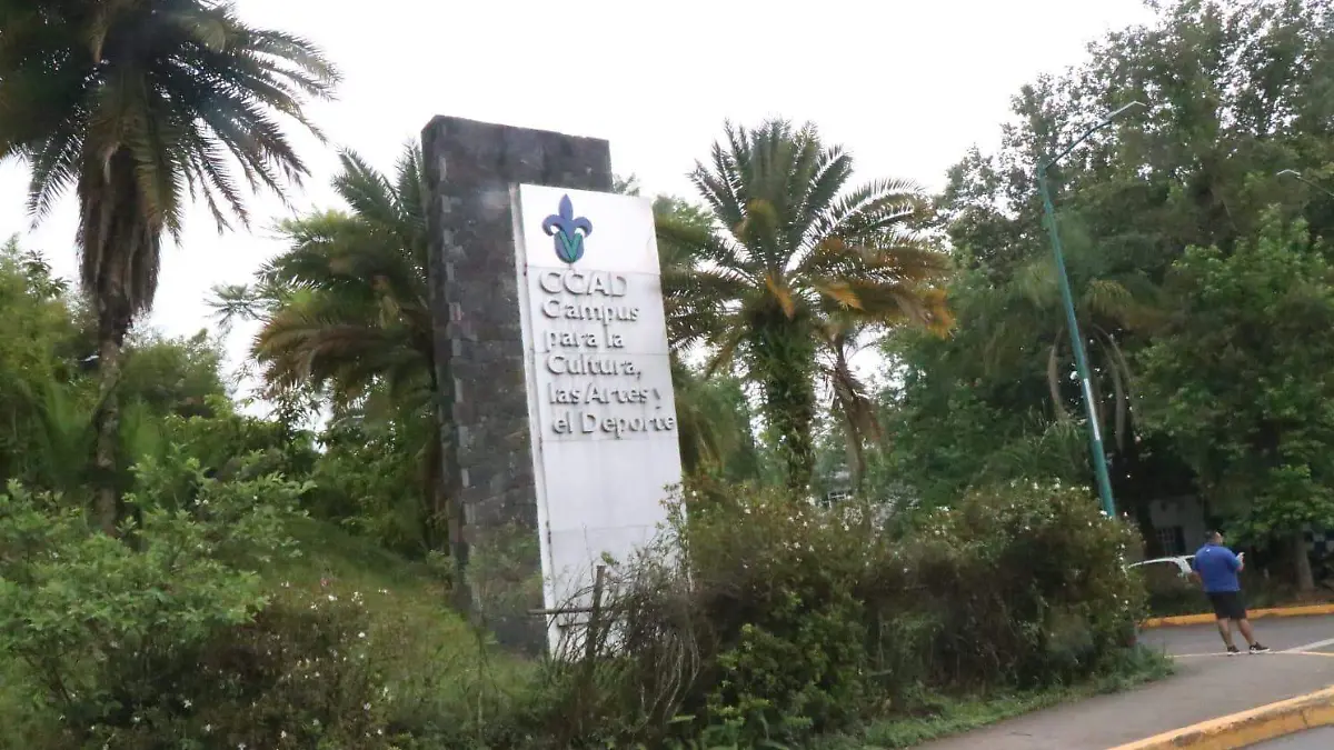 WhatsApp Image 2026-02-05 at 5.36.26 PM