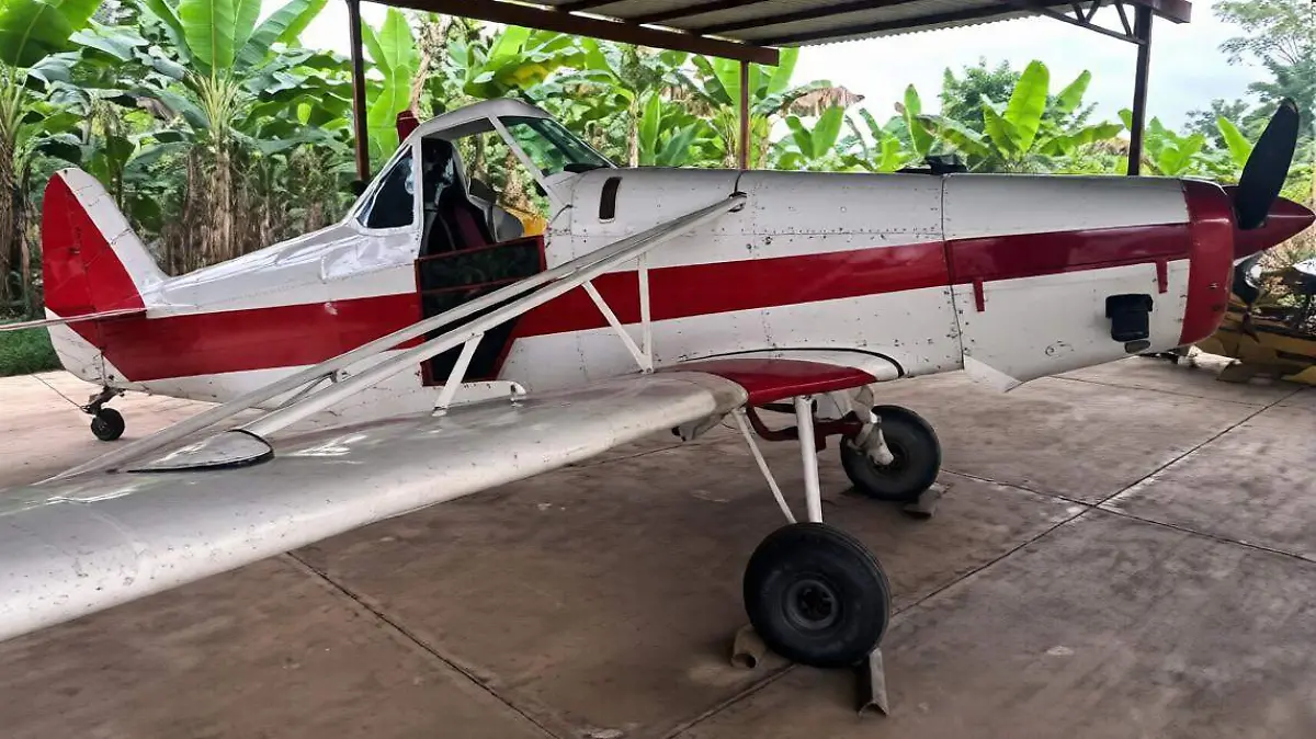 WhatsApp Image 2026-02-06 at 4.37.04 PM