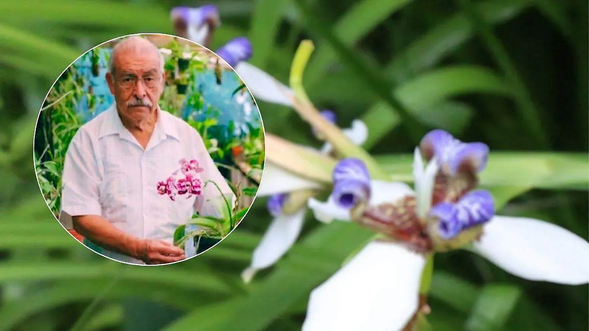 CUE - 2026-02-09T214009.972