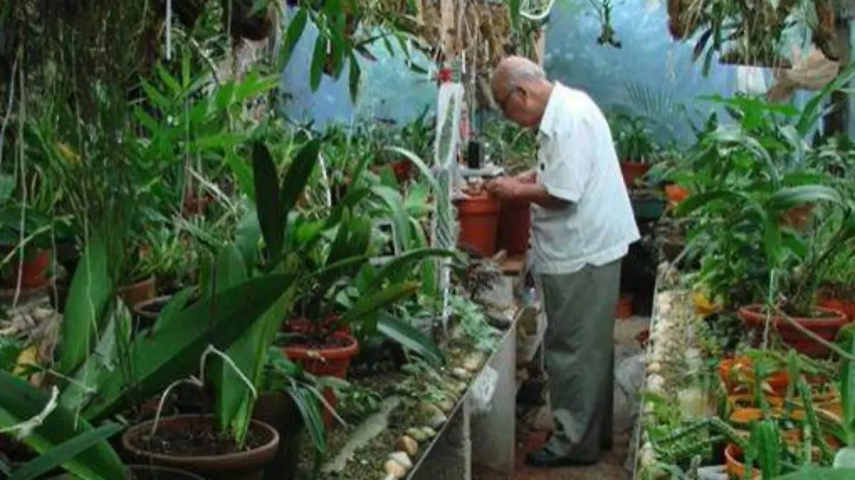 Doctor Isaías Contreras