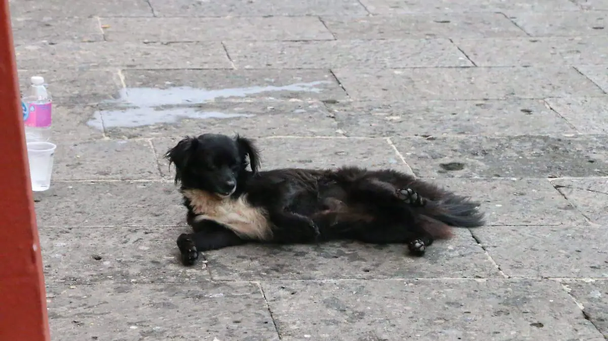 WhatsApp Image 2026-02-11 at 13.25.42