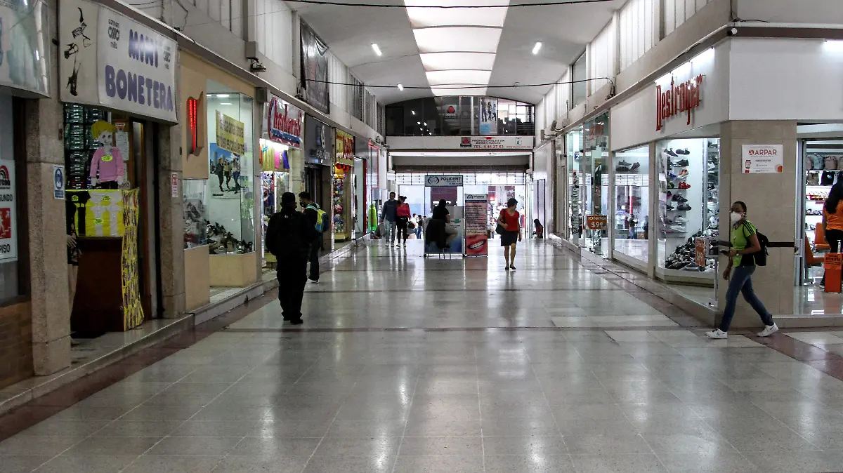 RENE-ECONOMIA-BUEN FIN