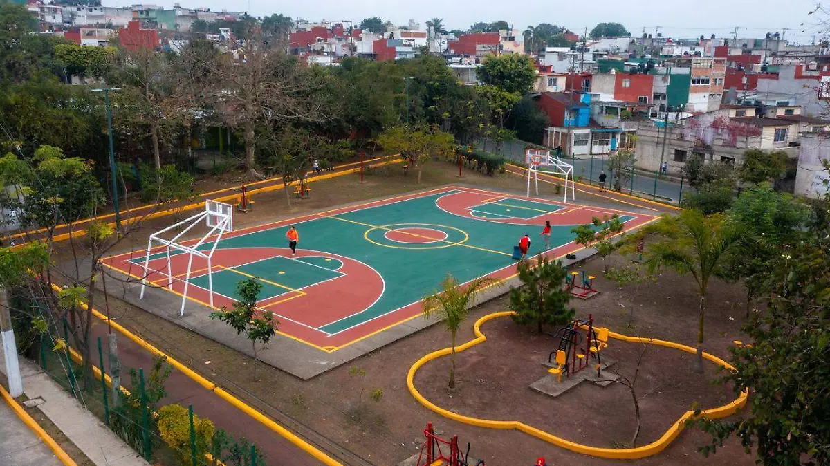 WhatsApp Image 2026-02-11 at 3.13.14 PM