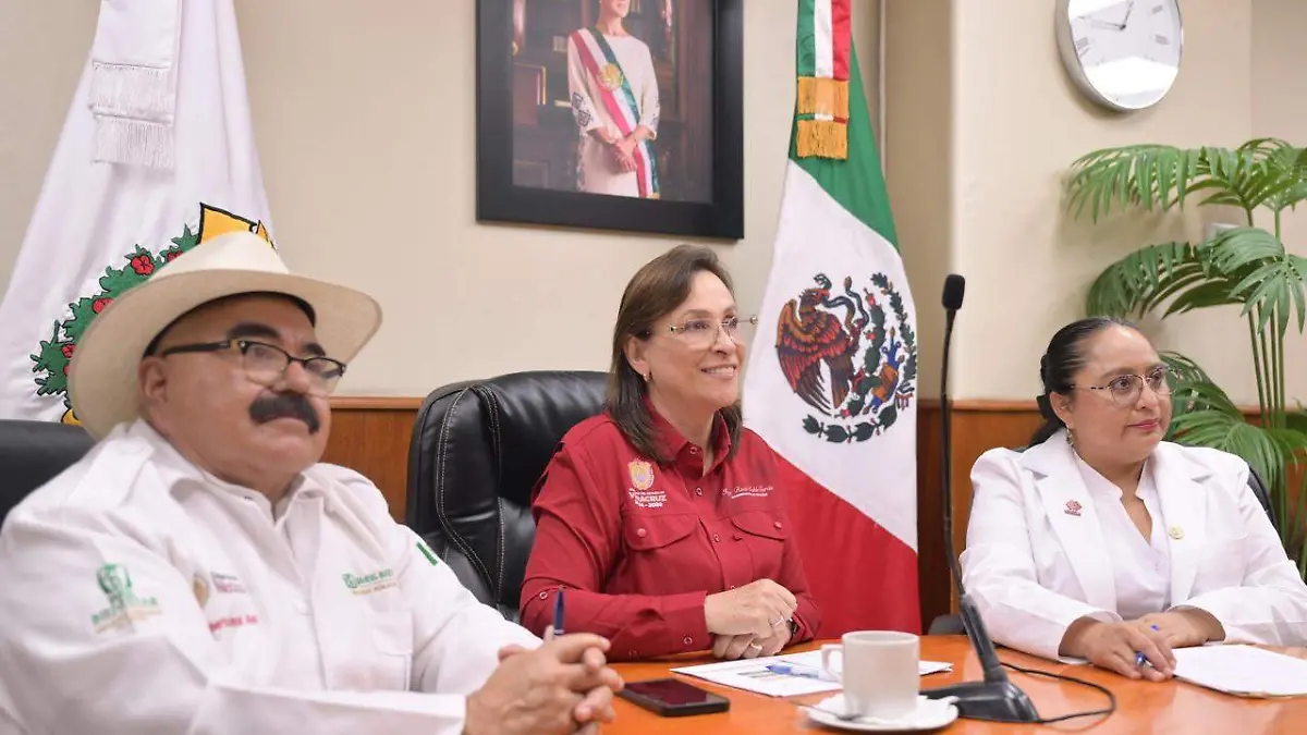 WhatsApp Image 2026-02-11 at 7.47.00 PM