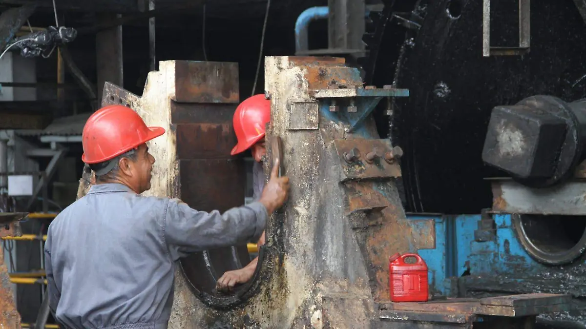 WhatsApp Image 2026-02-12 at 10.27.52 PM