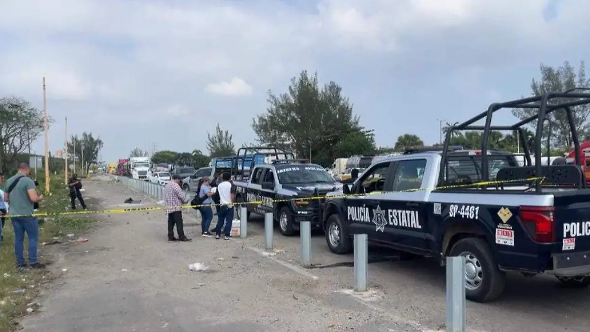 WhatsApp Image 2026-02-13 at 13.55.39