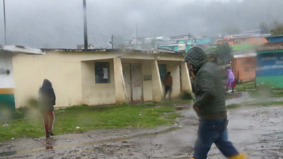 WhatsApp Image 2026-02-15 at 3.32.05 PM