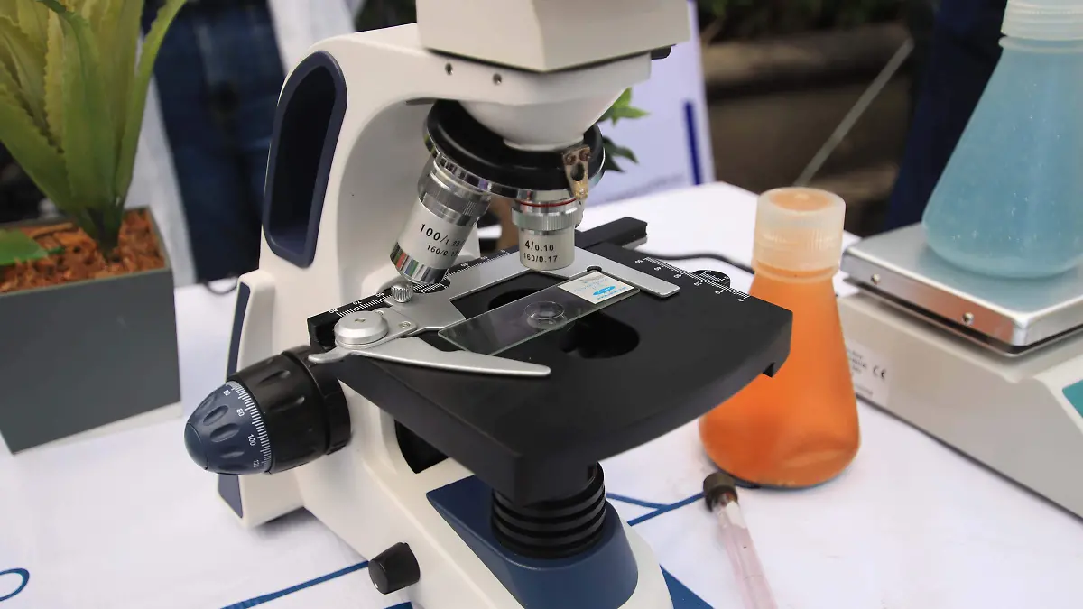 ciencia (4)