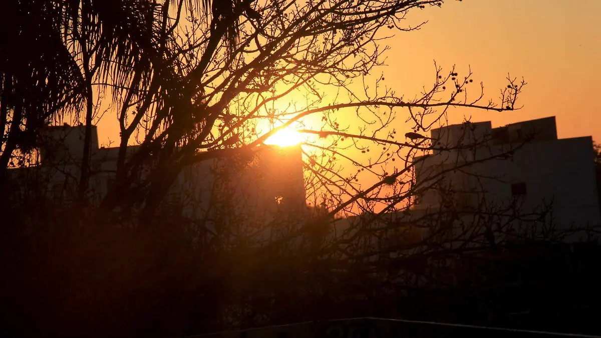 WhatsApp Image 2026-02-17 at 08.50.09 (1)