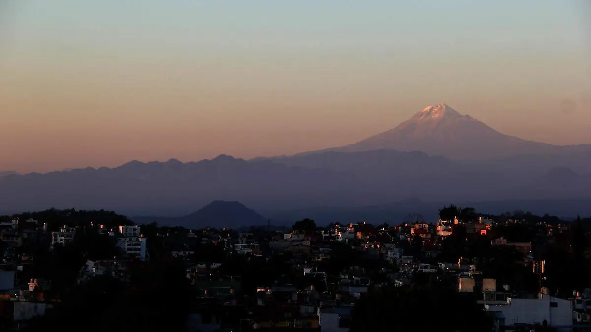 WhatsApp Image 2026-02-17 at 08.50.09