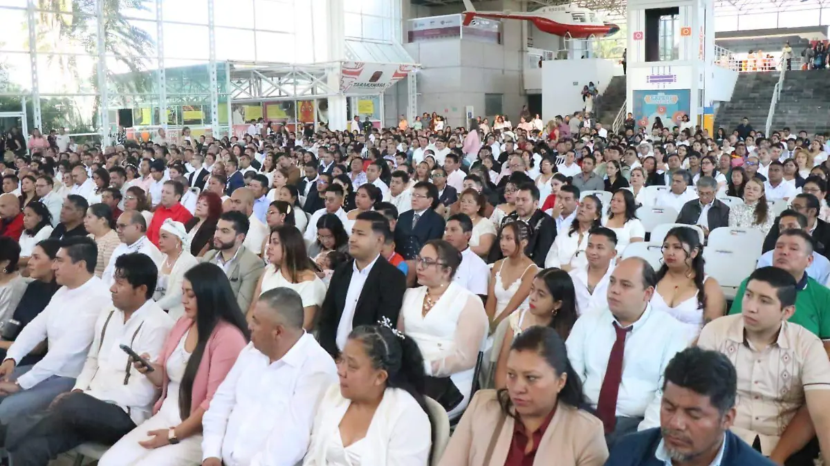 WhatsApp Image 2026-02-17 at 13.07.19