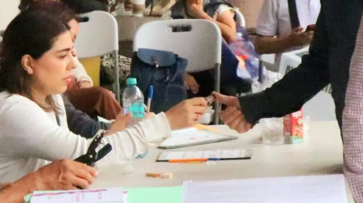 david- Ople Elecciones