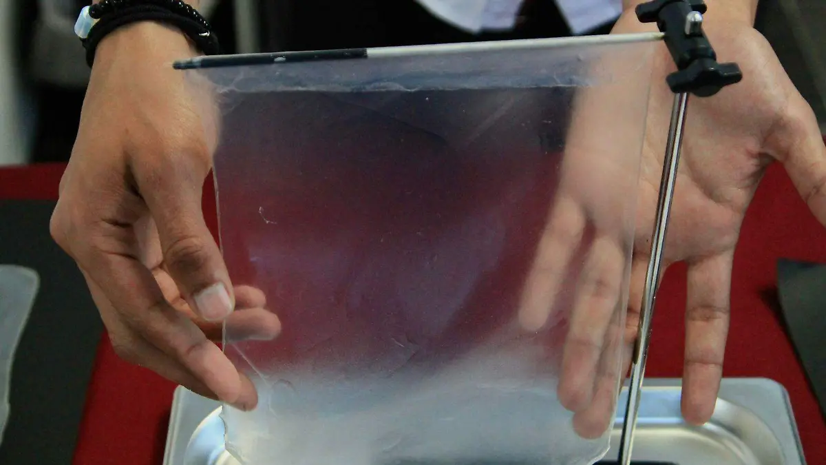 WhatsApp Image 2026-02-18 at 3.31.46 PM (2)