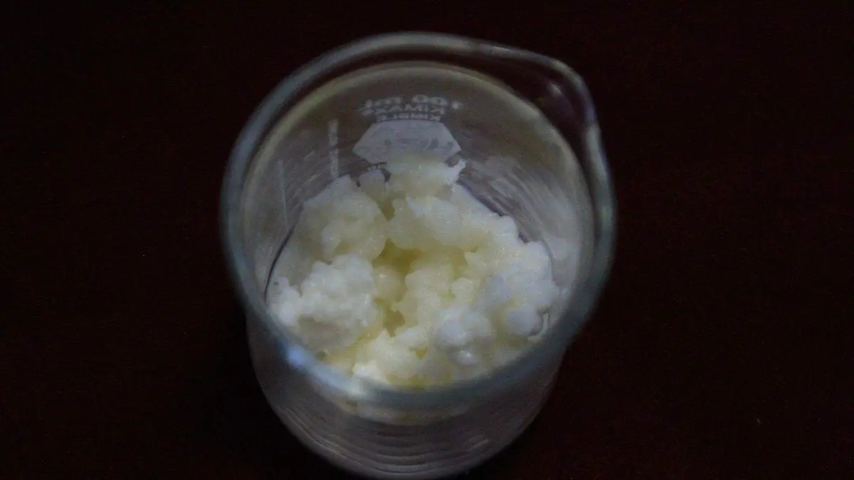 Película hecha de búlgaros