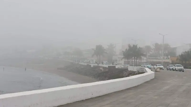Neblina en el puerto