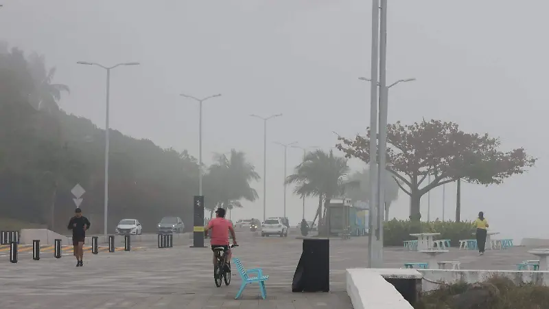 Neblina en el puerto