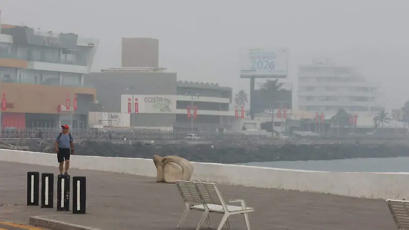 Neblina en el puerto