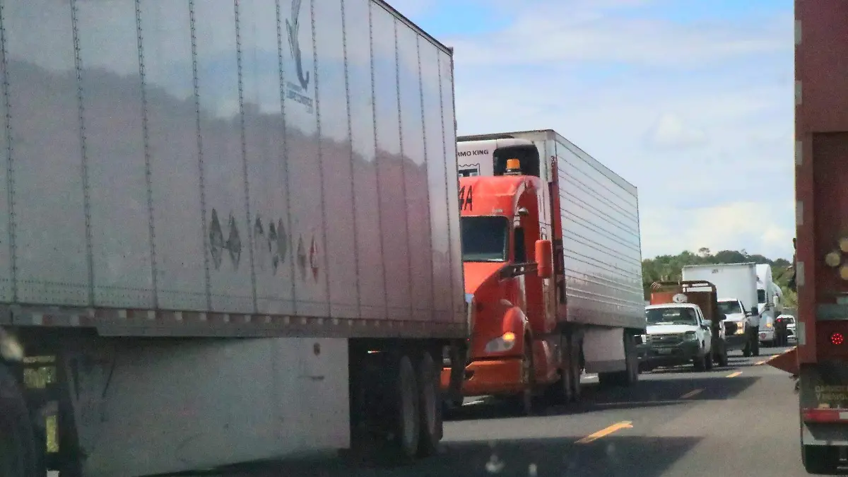 Tratado de libre comercio