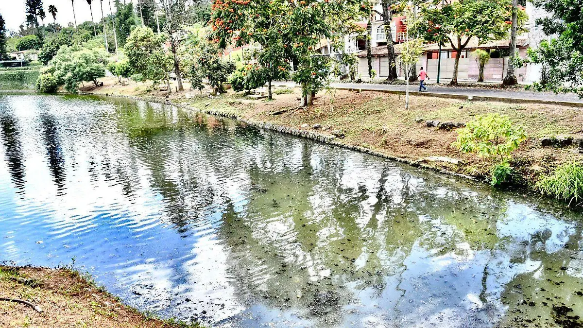 WhatsApp Image 2026-02-20 at 4.38.06 PM