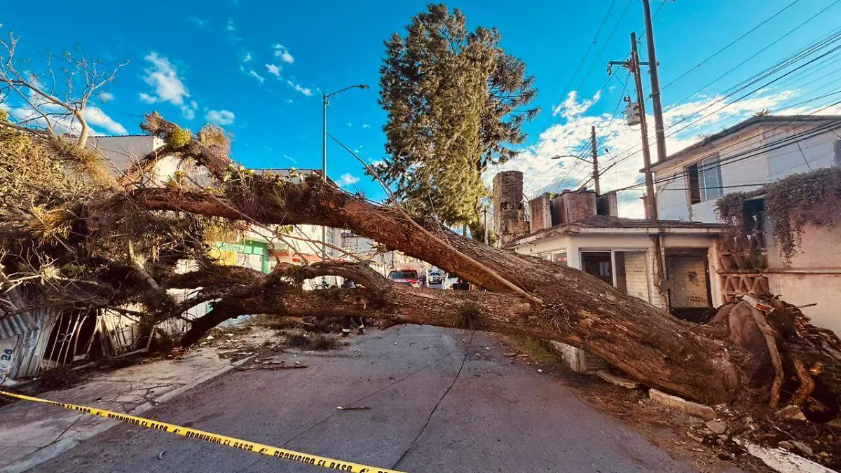 WhatsApp Image 2026-02-22 at 5.36.39 PM (1)