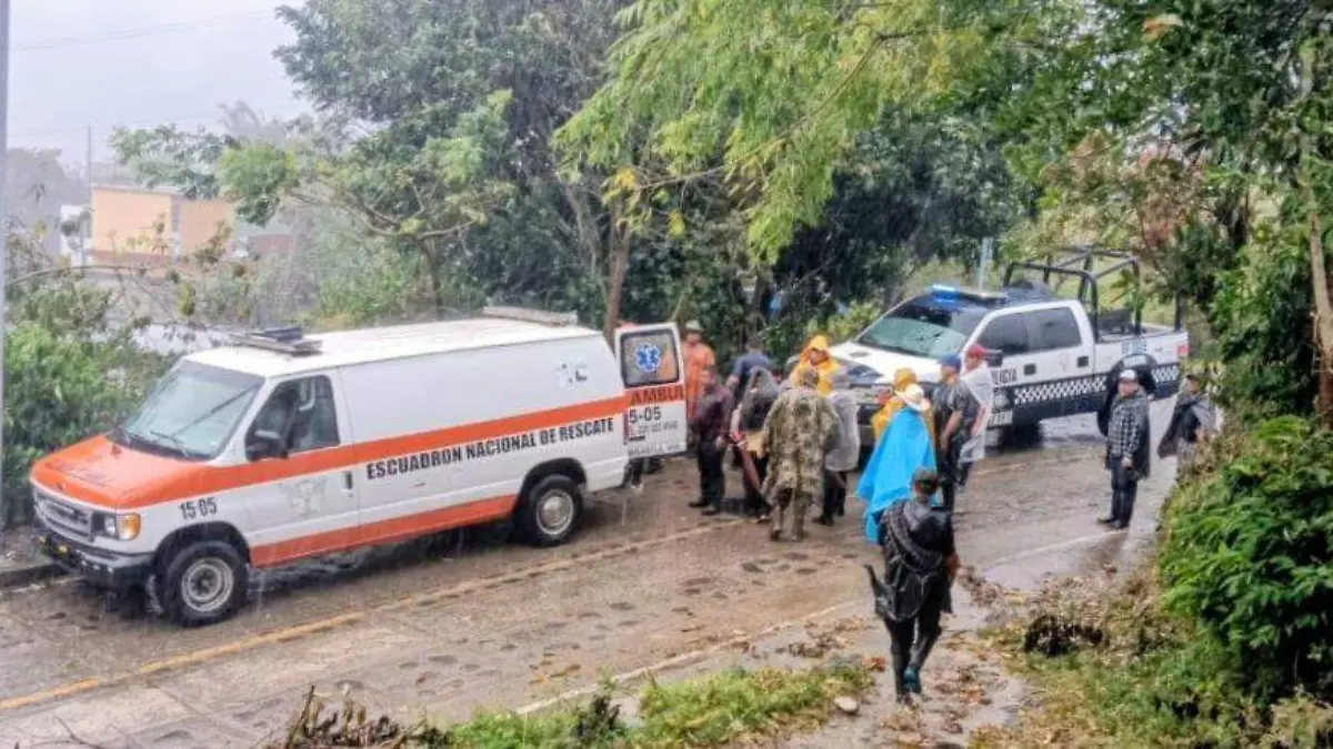 WhatsApp Image 2026-02-23 at 11.33.04