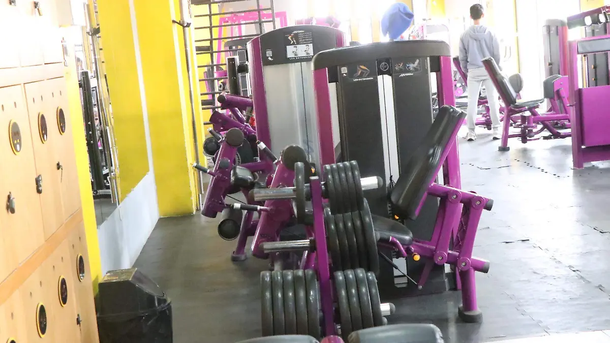 david- El Ejercicio de Fuerza4