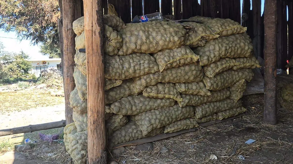 Sobreproducción de papa