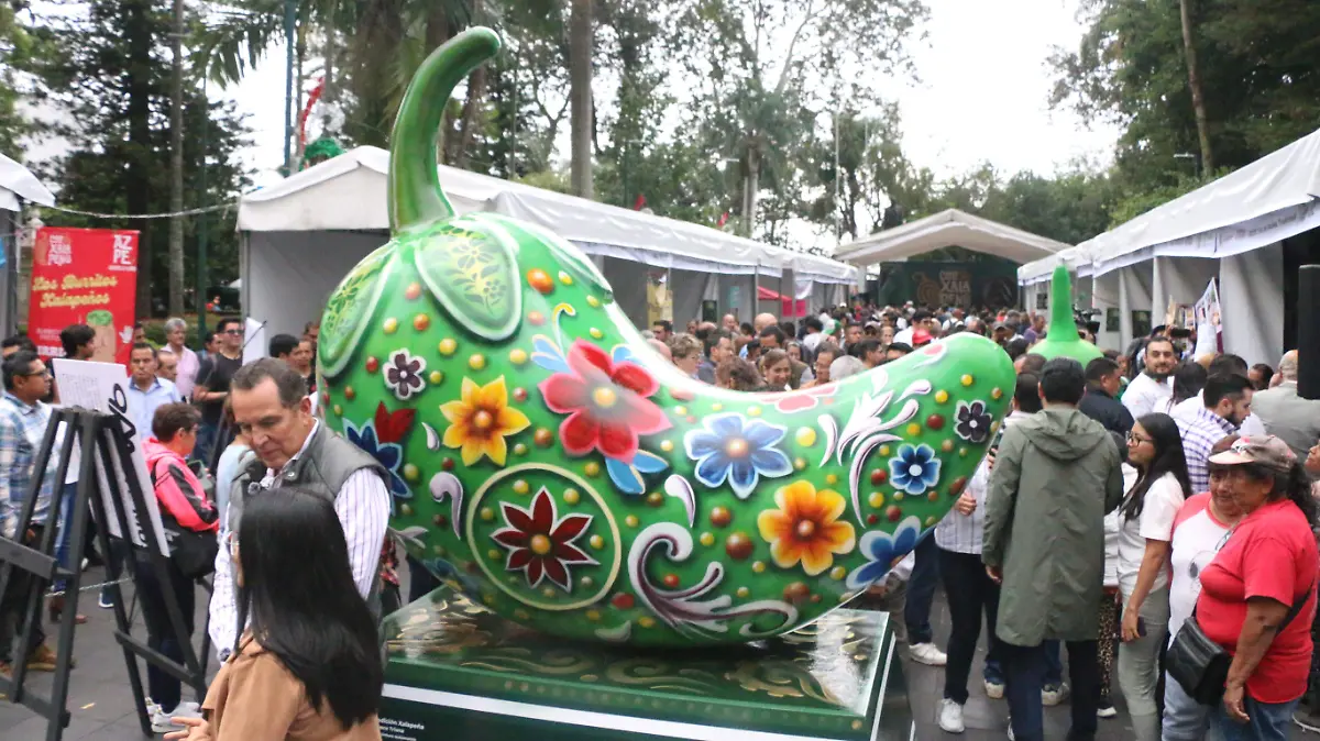 david- Festival  Chile7