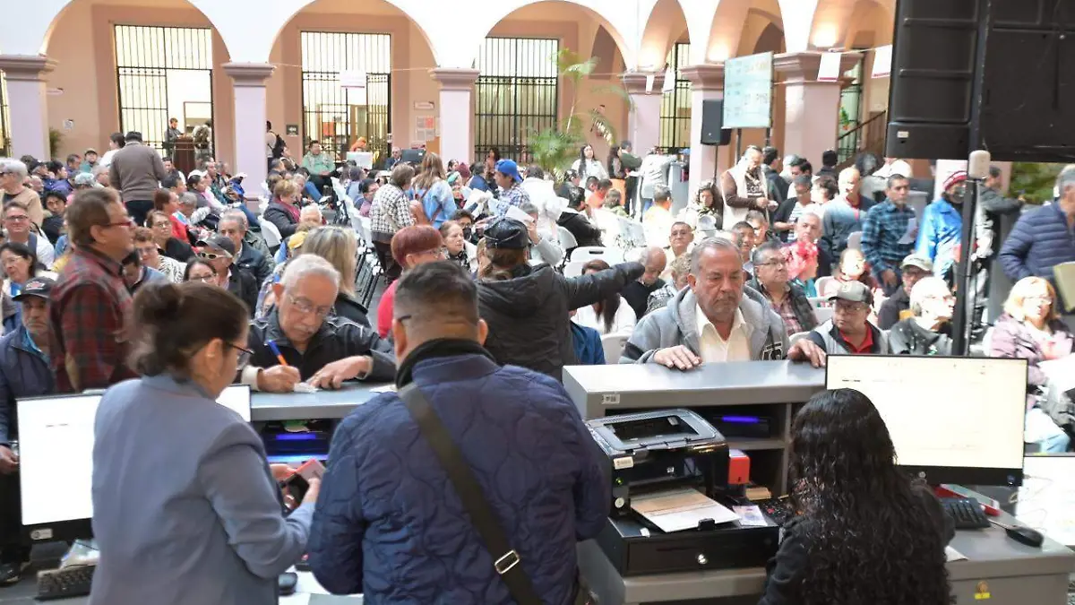 WhatsApp Image 2026-02-26 at 5.05.29 PM