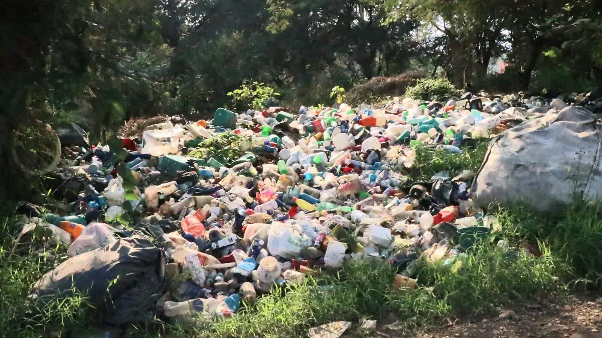 WhatsApp Image 2026-02-27 at 10.20.03