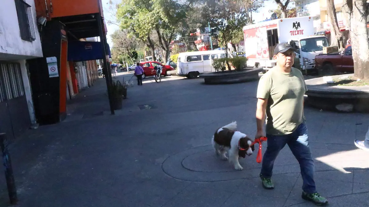 david- Cuidado de mascotas 4