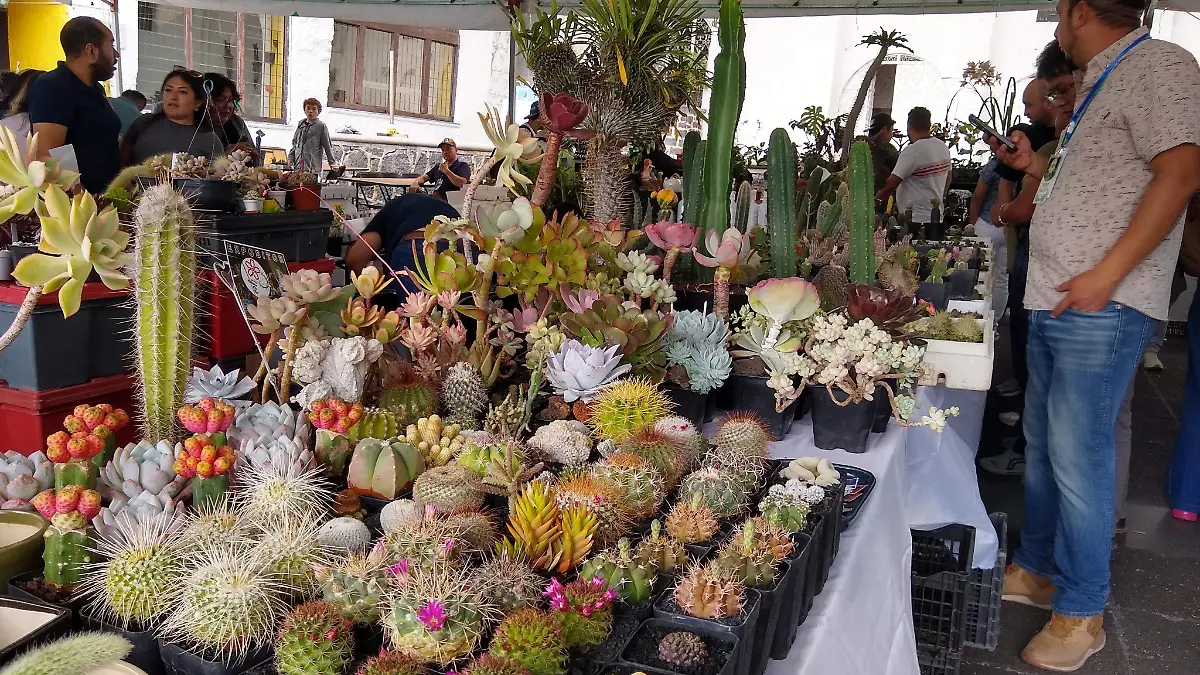 IMG_20260228_135300183_HDR