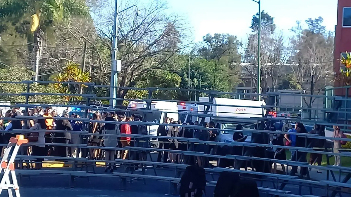 Colapsa templete en foto de generación