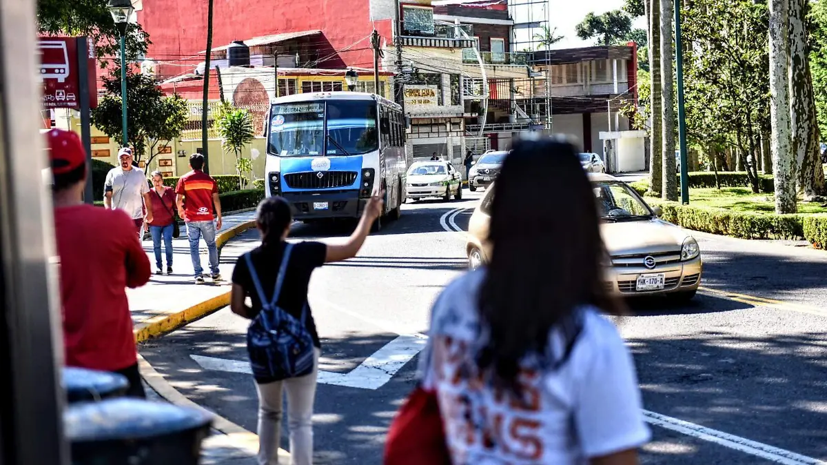Planean paradas seguras para mujeres, con botón de pánico y wifi en Xalapa 