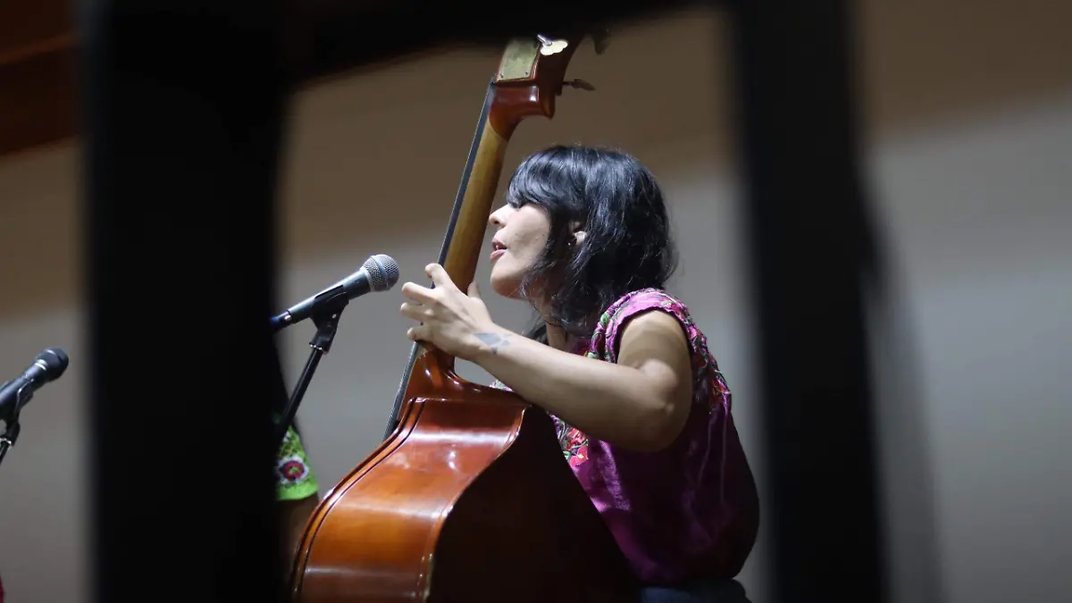 Participación de artistas