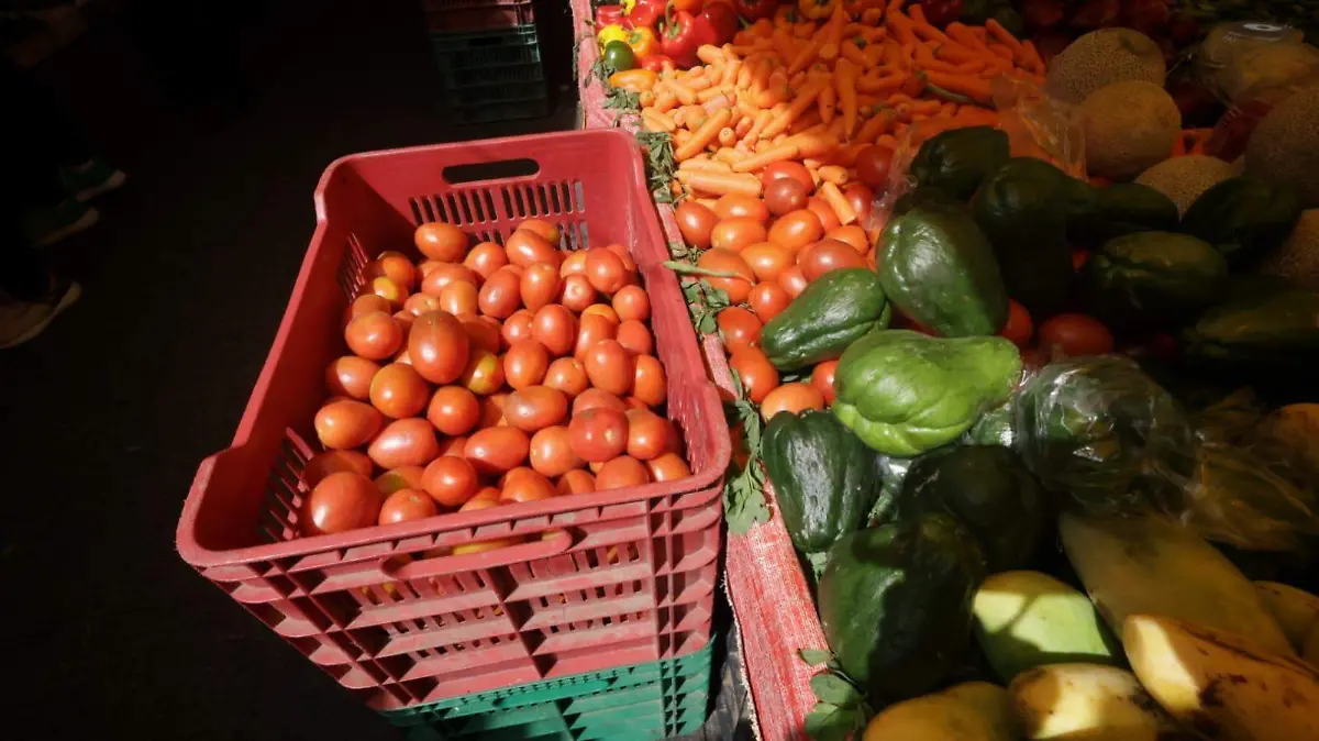 WhatsApp Image 2026-03-03 at 4.15.01 PM (1)