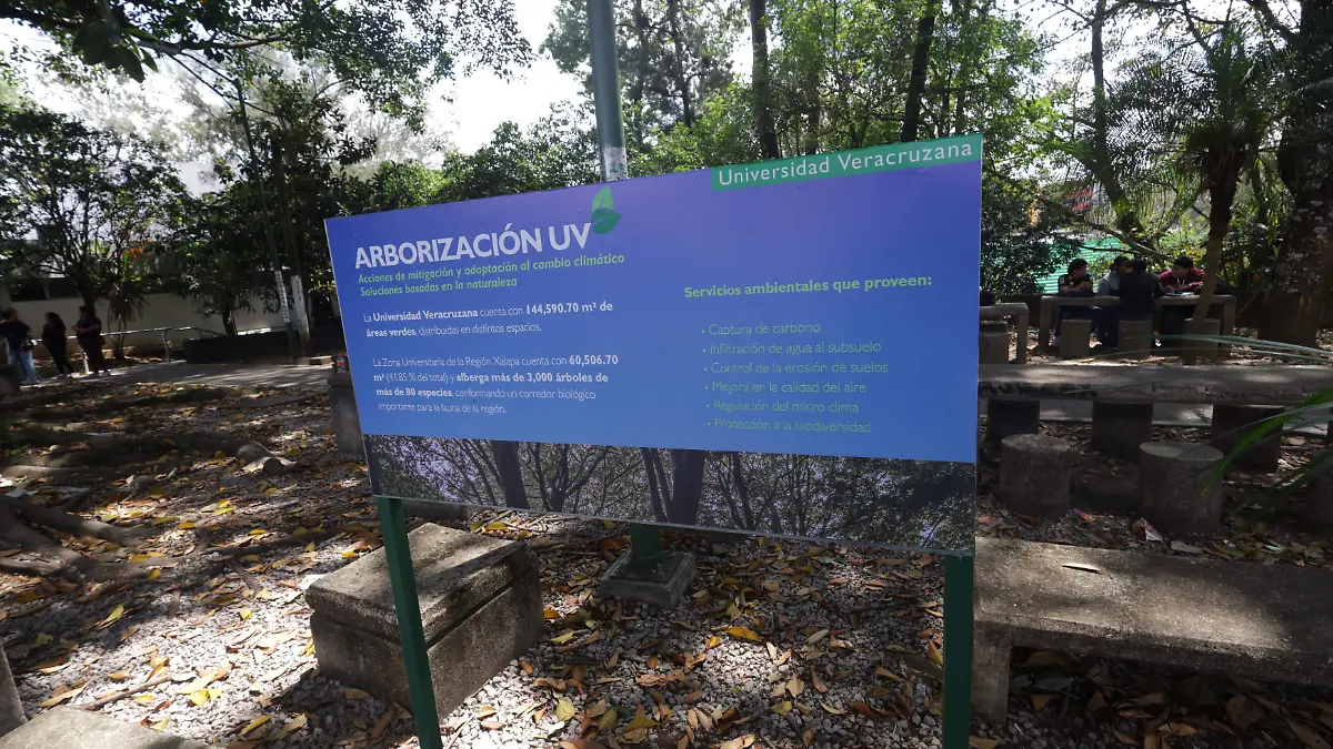 Arboles 