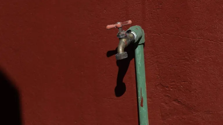 WhatsApp Image 2026-03-03 at 4.55.42 PM