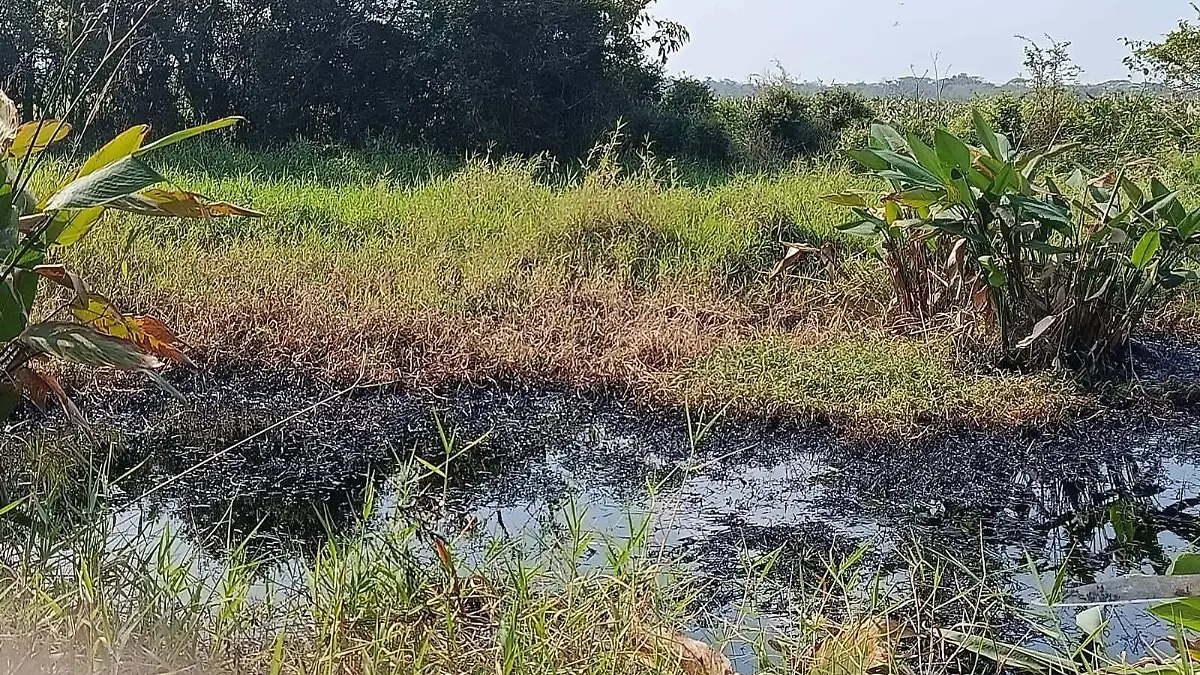 WhatsApp Image 2026-03-04 at 5.46.35 PM (1)