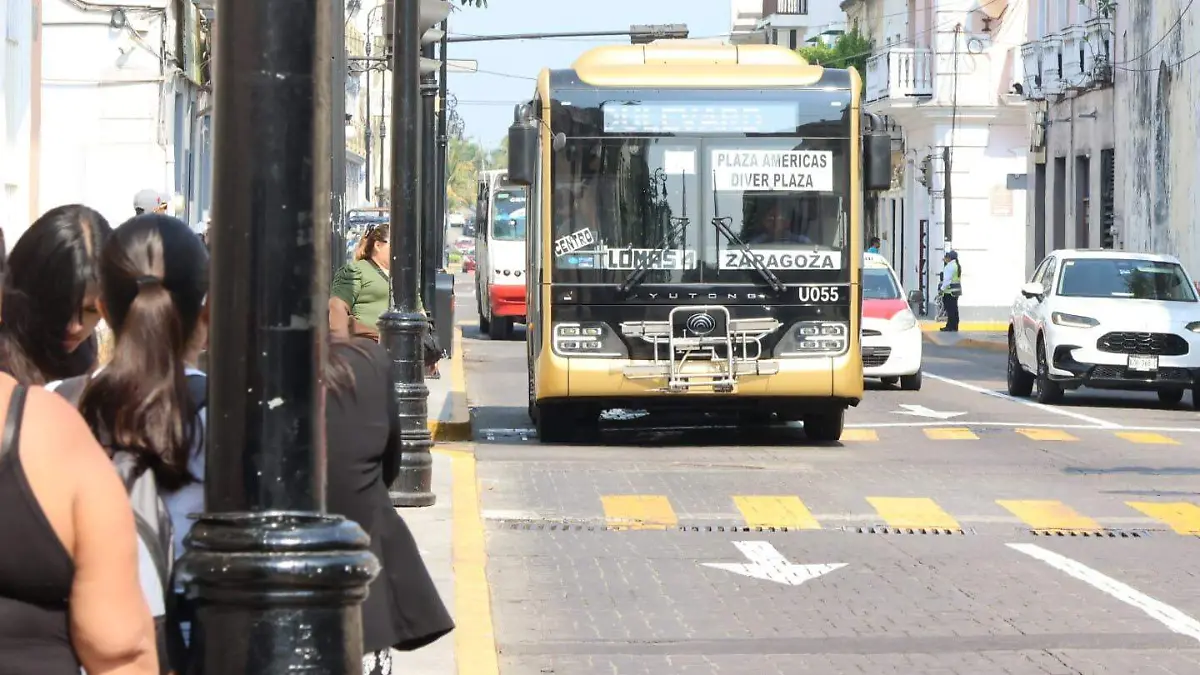 WhatsApp Image 2026-03-05 at 11.00.27