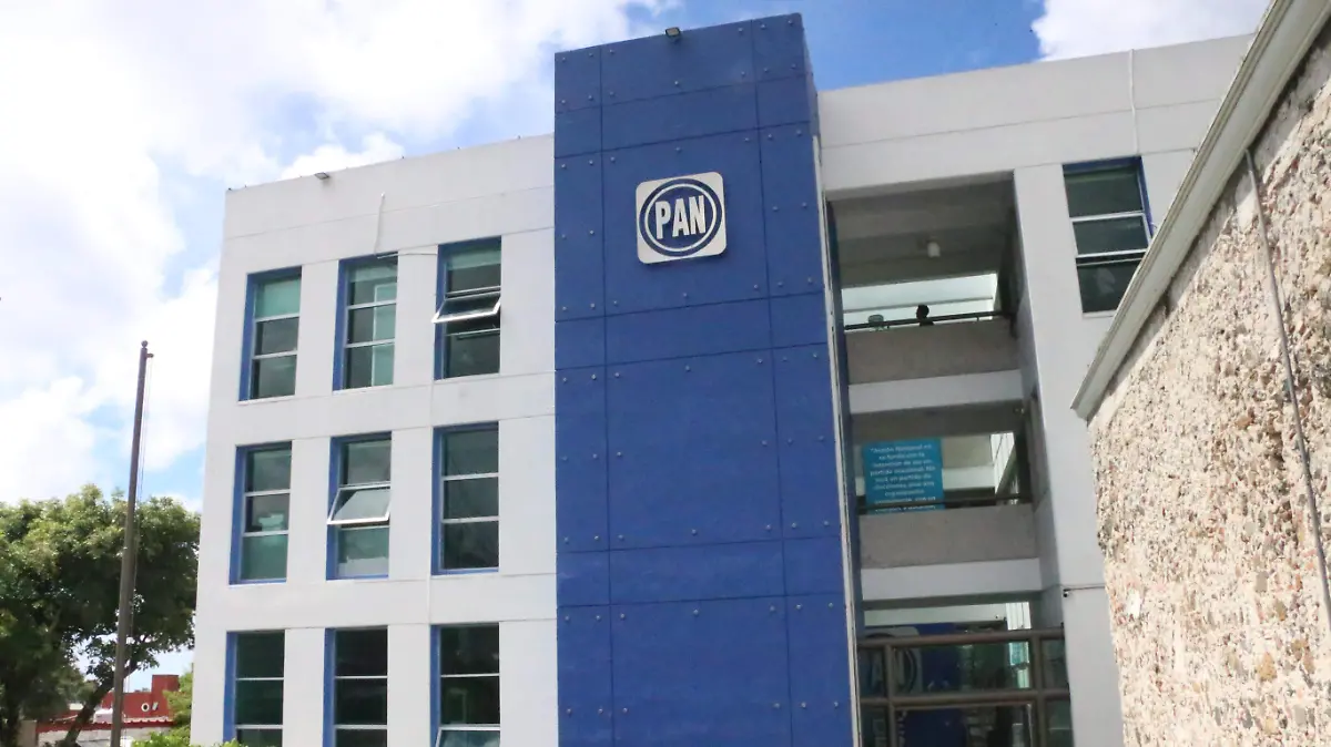 david- Partido Acción Nacional 01