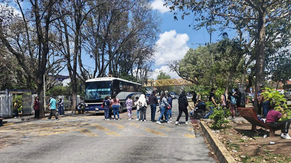 WhatsApp Image 2026-03-05 at 14.02.06